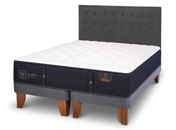 JUEGO DE DORMITORIO CIC CAMA EUROPEA PREMIUM KING + RESPALDO EUFRATES - 2