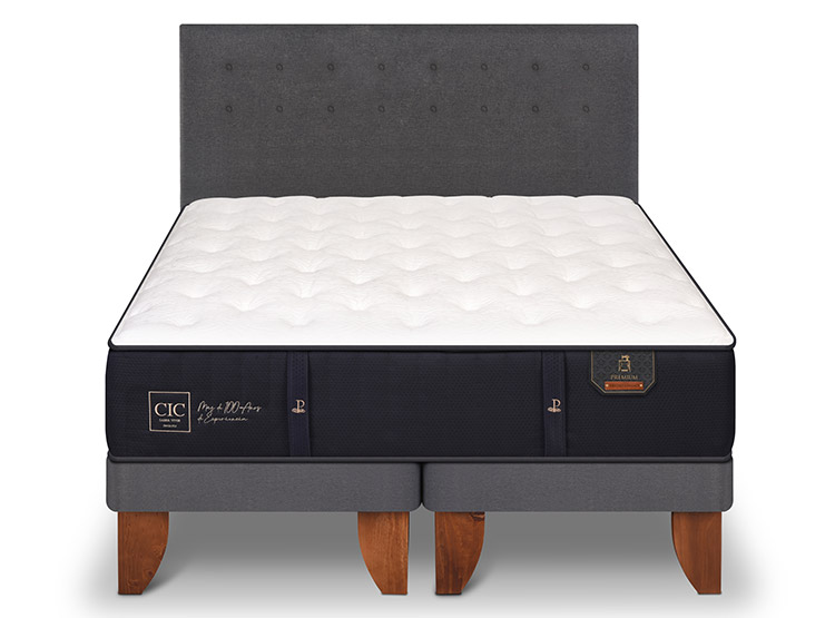 JUEGO DE DORMITORIO CIC CAMA EUROPEA PREMIUM KING + RESPALDO EUFRATES - 1