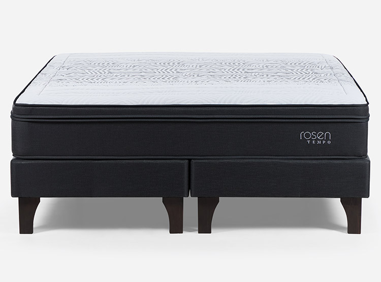 CAMA BOX SPRING ROSEN TEMPO BD 2 PLAZAS - 2