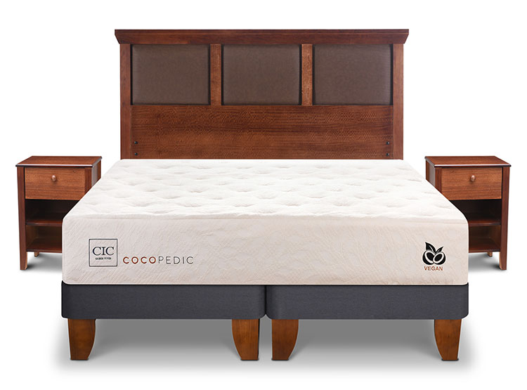 JUEGO DE DORMITORIO CIC CAMA EUROPEA COCOPEDIC BD 2 PLAZAS + SET NEW TORINO - 1