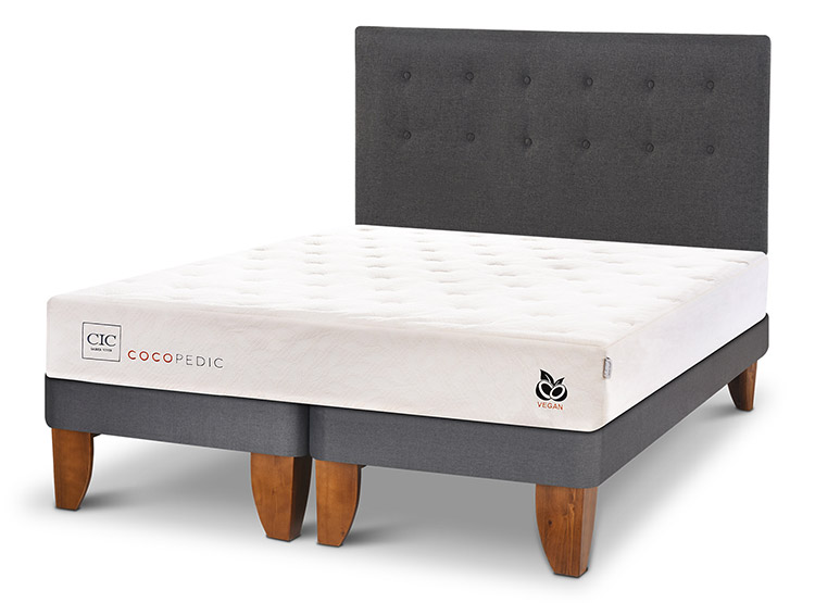 JUEGO DE DORMITORIO CIC CAMA EUROPEA COCOPEDIC BD 2 PLAZAS + RESPALDO EUFRATES - 2
