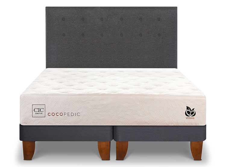 JUEGO DE DORMITORIO CIC CAMA EUROPEA COCOPEDIC BD 2 PLAZAS + RESPALDO EUFRATES - 1