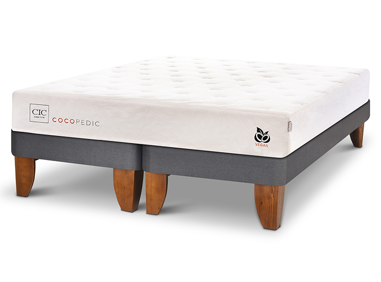 CAMA EUROPEA CIC COCOPEDIC BD 2 PLAZAS - 2