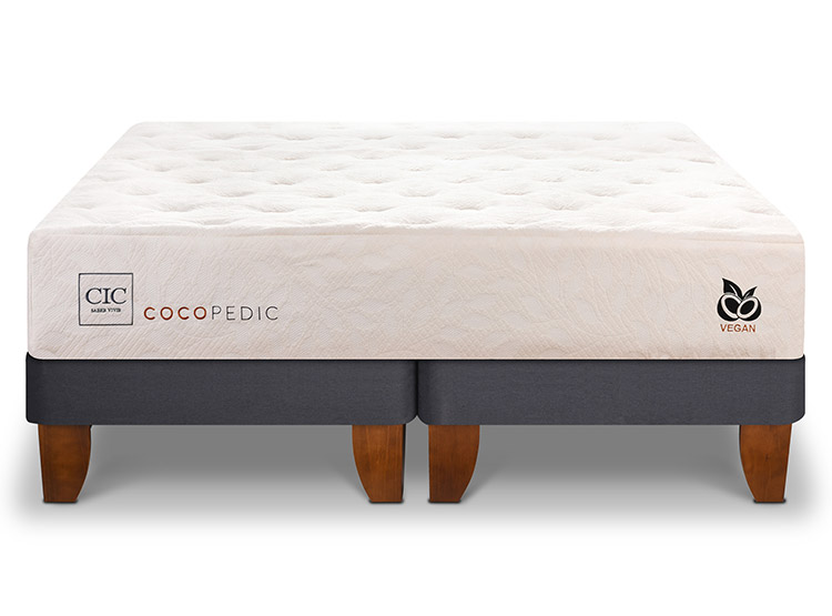 CAMA EUROPEA CIC COCOPEDIC BD 2 PLAZAS - 1