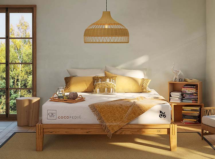 JUEGO DE DORMITORIO CIC CAMA EUROPEA COCOPEDIC BD 2 PLAZAS + ALMOHADAS - 8
