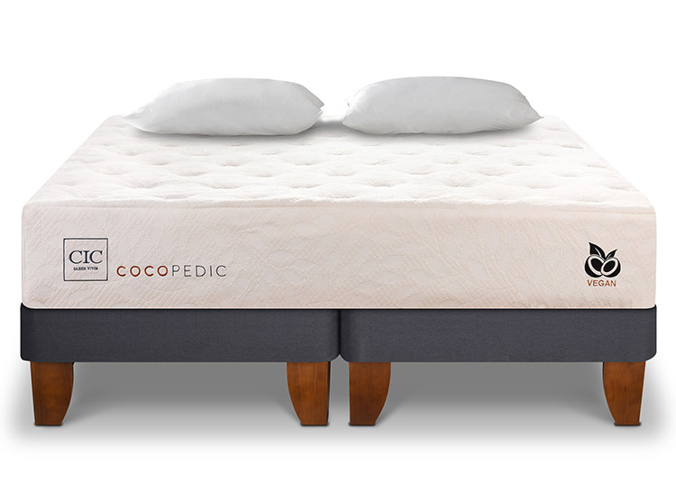 JUEGO DE DORMITORIO CIC CAMA EUROPEA COCOPEDIC BD 2 PLAZAS + ALMOHADAS - 1