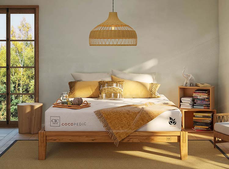 JUEGO DE DORMITORIO CIC CAMA EUROPEA COCOPEDIC BD 2 PLAZAS + SET BAKER - 8