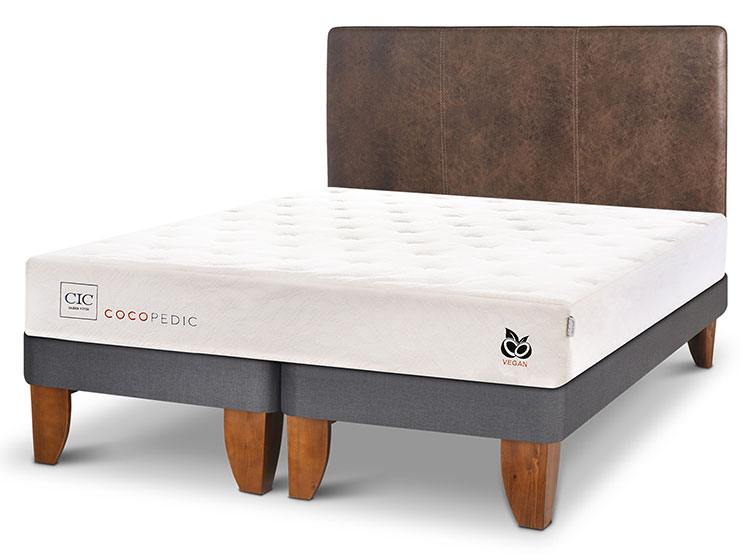JUEGO DE DORMITORIO CIC CAMA EUROPEA COCOPEDIC BD 2 PLAZAS + RESPALDO BAKER - 2