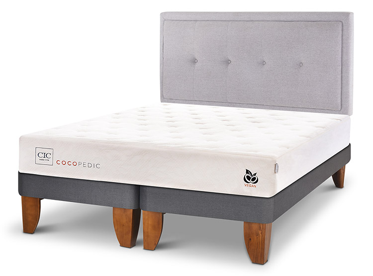 JUEGO DE DORMITORIO CIC CAMA EUROPEA COCOPEDIC BD 2 PLAZAS + RESPALDO GANGES - 2