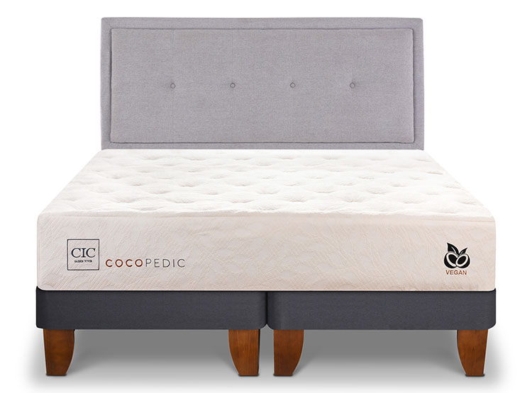 JUEGO DE DORMITORIO CIC CAMA EUROPEA COCOPEDIC BD 2 PLAZAS + RESPALDO GANGES - 1