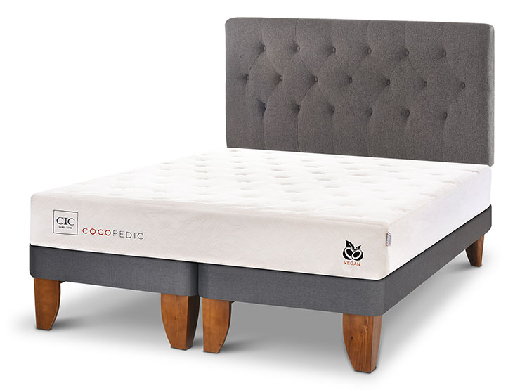 JUEGO DE DORMITORIO CIC CAMA EUROPEA COCOPEDIC BD 2 PLAZAS + RESPALDO KAVERY - 2