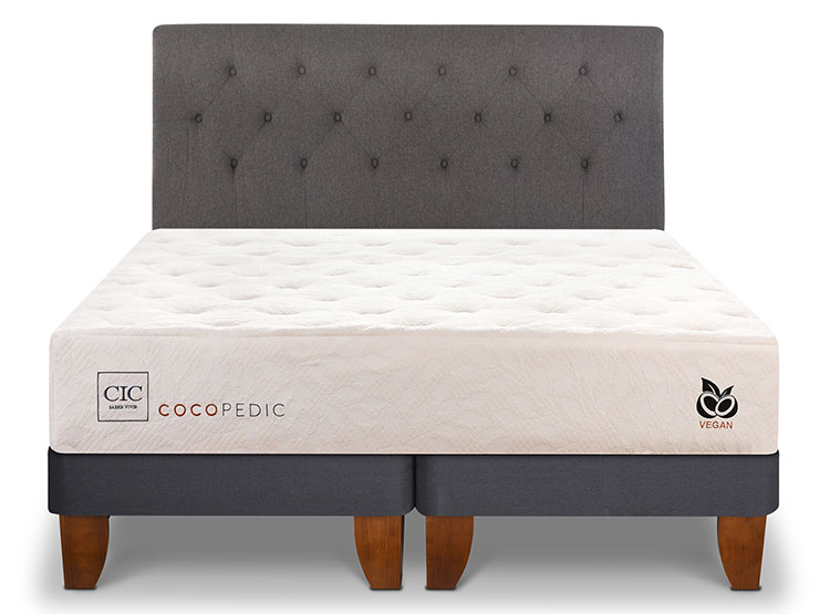 JUEGO DE DORMITORIO CIC CAMA EUROPEA COCOPEDIC BD 2 PLAZAS + RESPALDO KAVERY - 1
