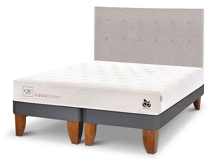 JUEGO DE DORMITORIO CIC CAMA EUROPEA COCOPEDIC BD 2 PLAZAS + RESPALDO TIGRIS - 2