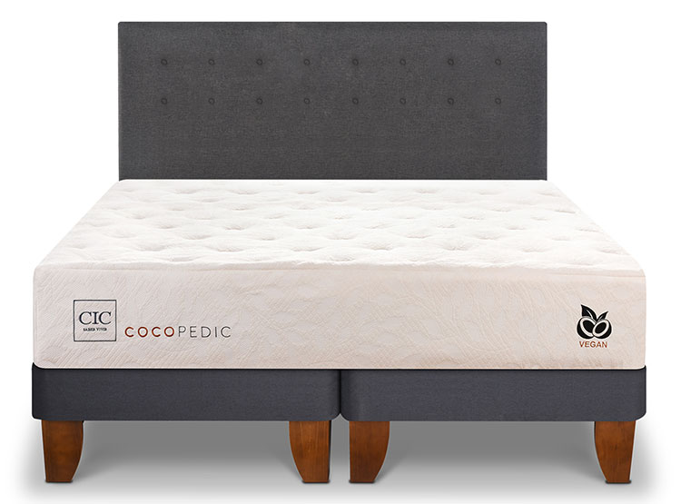 JUEGO DE DORMITORIO CIC CAMA EUROPEA COCOPEDIC BD KING + RESPALDO EUFRATES - 1