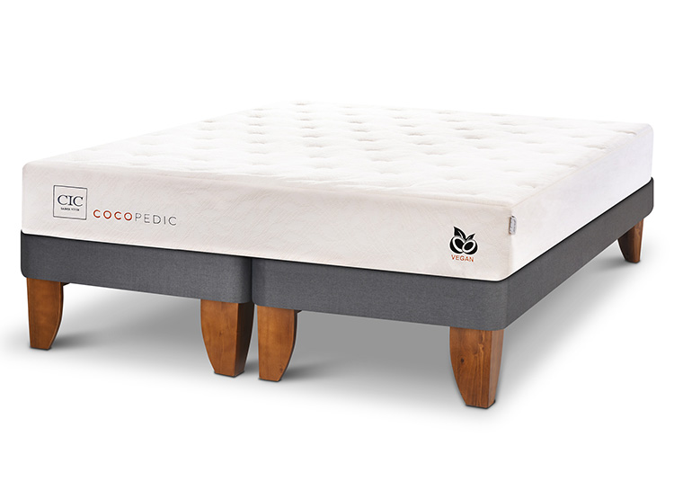 CAMA EUROPEA CIC COCOPEDIC BD KING - 2