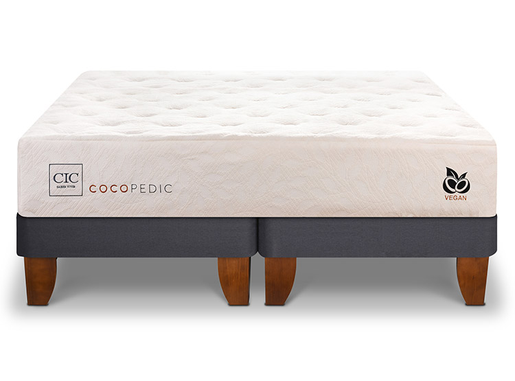 CAMA EUROPEA CIC COCOPEDIC BD KING - 1