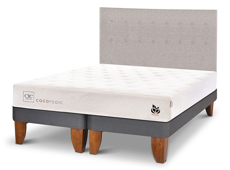 JUEGO DE DORMITORIO CIC CAMA EUROPEA COCOPEDIC BD KING + RESPALDO TIGRIS - 2
