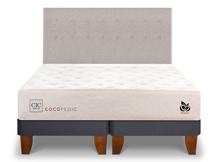 JUEGO DE DORMITORIO CIC CAMA EUROPEA COCOPEDIC BD KING + RESPALDO TIGRIS - 1