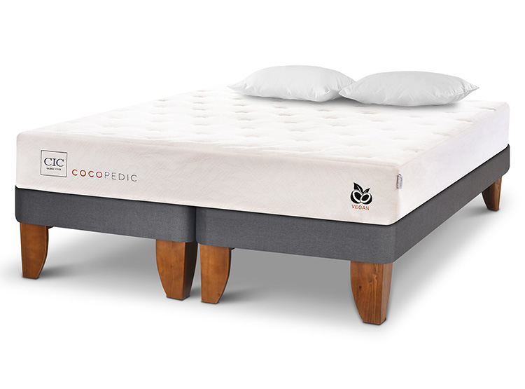 JUEGO DE DORMITORIO CIC CAMA EUROPEA COCOPEDIC BD KING + ALMOHADAS - 2