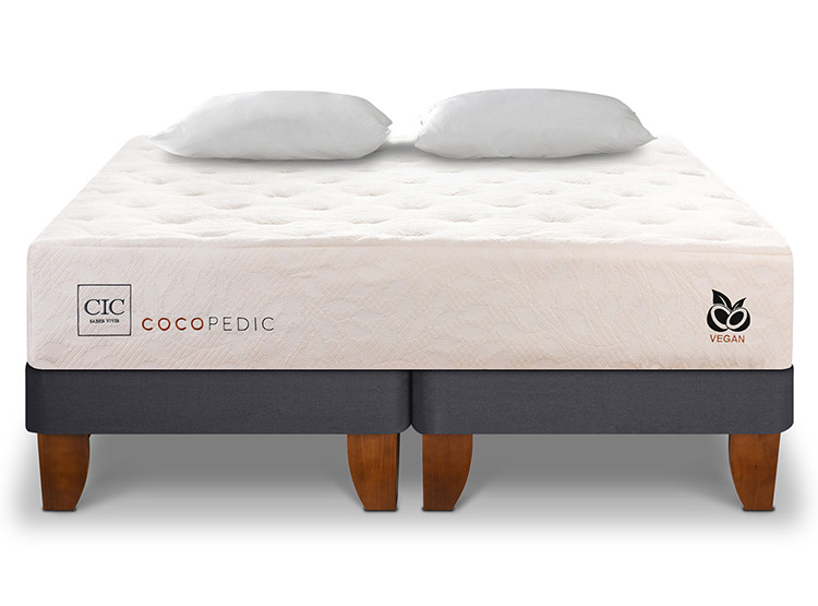 JUEGO DE DORMITORIO CIC CAMA EUROPEA COCOPEDIC BD KING + ALMOHADAS - 1