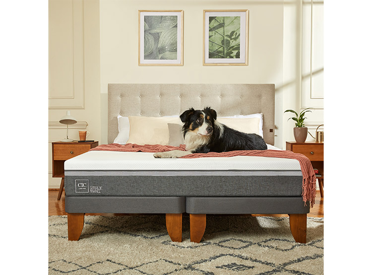 JUEGO DE DORMITORIO CIC CAMA EUROPEA GALES ORTOPEDIC ADVANCE BD 2 PLAZAS + RESPALDO GRIS - 8