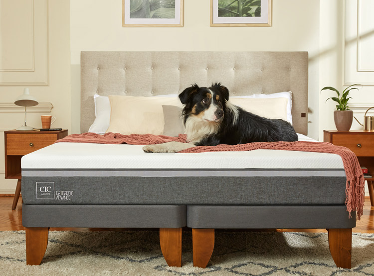 JUEGO DE DORMITORIO CIC CAMA EUROPEA MUNICH ORTOPEDIC ADVANCE BD 2 PLAZAS + RESPALDO GRIS - 7