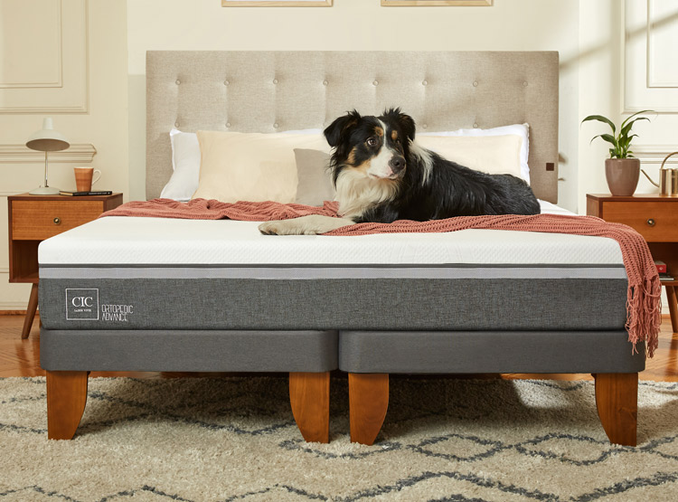 JUEGO DE DORMITORIO CIC CAMA EUROPEA VILLARRICA ORTOPEDIC ADVANCE BD 2 PLAZAS + RESPALDO GRIS - 8