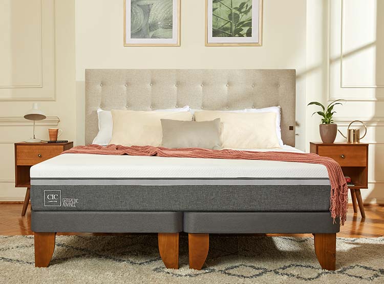 JUEGO DE DORMITORIO CIC CAMA EUROPEA ORTOPEDIC ADVANCE KING + RESPALDO DUBLIN GRIS - 8