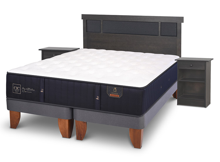 JUEGO DE DORMITORIO CIC CAMA EUROPEA PREMIUM BD 2 PLAZAS + SET DUBLIN GRIS - 2