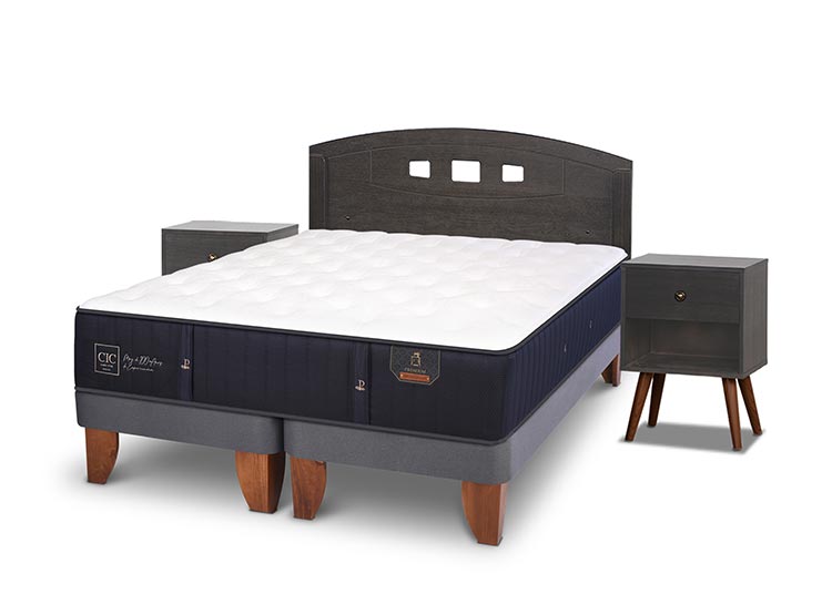 JUEGO DE DORMITORIO CIC CAMA EUROPEA GALES PREMIUM BD 2 PLAZAS + SET GRIS - 2