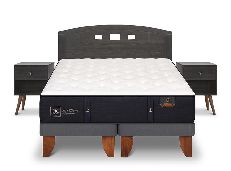JUEGO DE DORMITORIO CIC CAMA EUROPEA GALES PREMIUM BD 2 PLAZAS + SET GRIS - 1