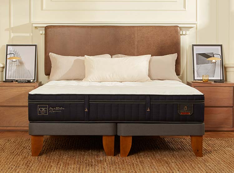 JUEGO DE DORMITORIO CIC CAMA EUROPEA SUPER PREMIUM BD 2 PLAZAS + RESPALDO MUNICH GRIS - 8