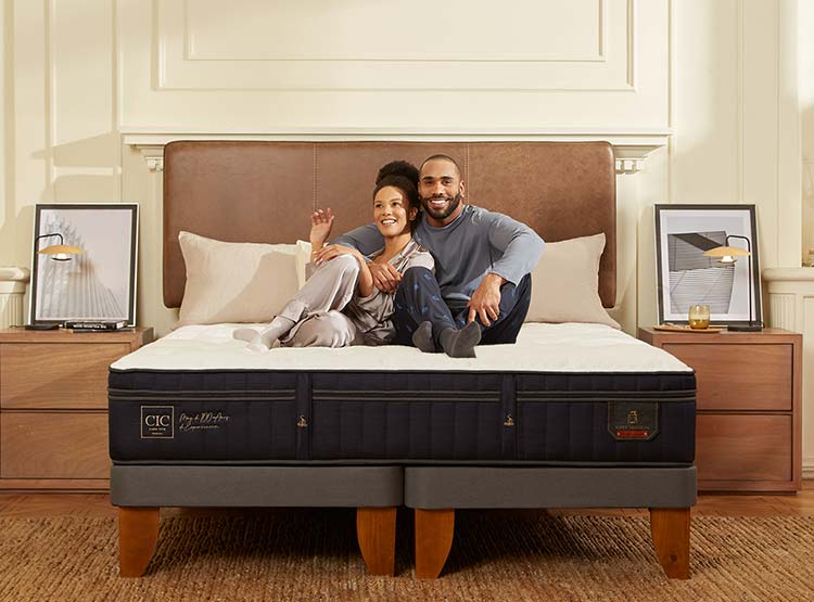 JUEGO DE DORMITORIO CIC CAMA EUROPEA SUPER PREMIUM KING + SET DUBLIN GRIS - 7