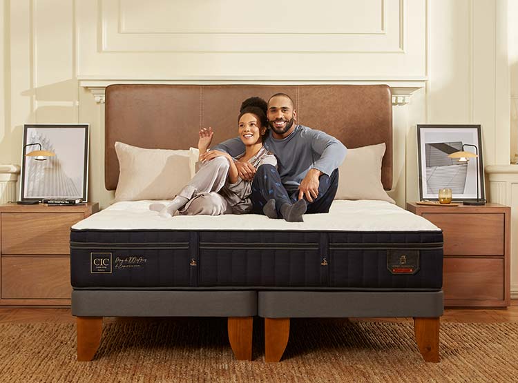 JUEGO DE DORMITORIO CIC CAMA EUROPEA SUPER PREMIUM BD 2 PLAZAS + RESPALDO DUBLIN GRIS - 7
