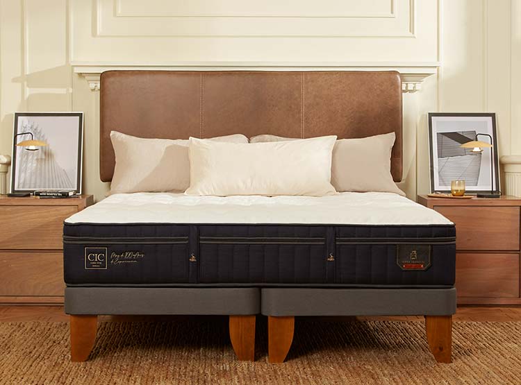 JUEGO DE DORMITORIO CIC CAMA EUROPEA SUPER PREMIUM BD 2 PLAZAS + RESPALDO DUBLIN GRIS - 8