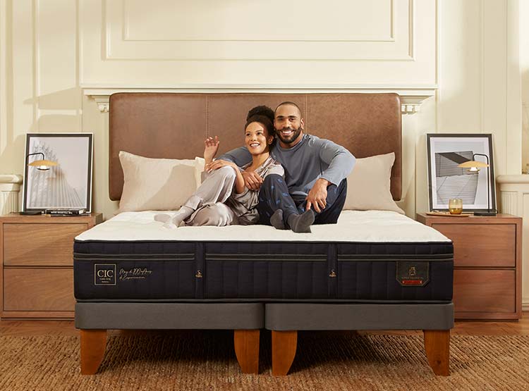 JUEGO DE DORMITORIO CIC CAMA EUROPEA SUPER PREMIUM BD 2 PLAZAS + RESPALDO GALES GRIS - 7