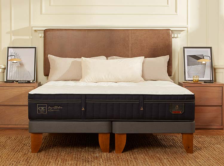 JUEGO DE DORMITORIO CIC CAMA EUROPEA SUPER PREMIUM BD 2 PLAZAS + SET DUBLIN GRIS - 8