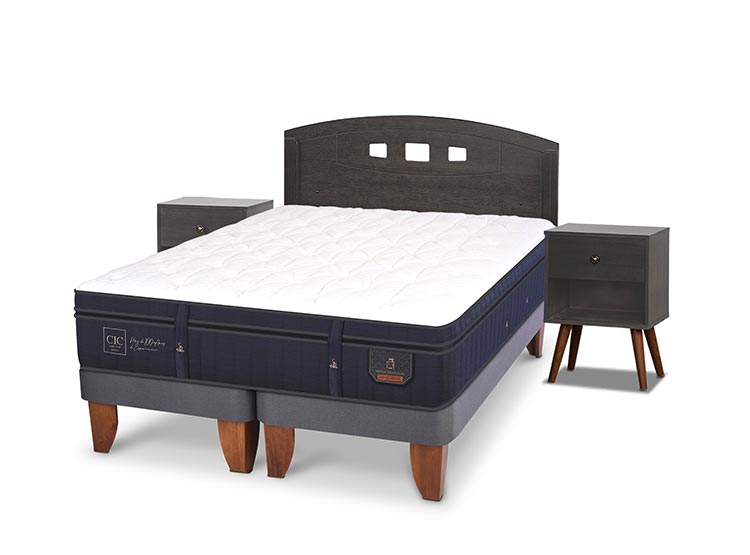 JUEGO DE DORMITORIO CIC CAMA EUROPEA GALES SUPER PREMIUM BD 2 PLAZAS + SET GRIS - 2