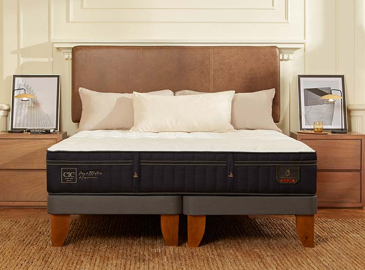 JUEGO DE DORMITORIO CIC CAMA EUROPEA PREMIUM SUPER BD 2 PLAZAS + RESPALDO VILLARRICA ALPINO - 10