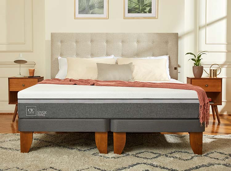 JUEGO DE DORMITORIO CIC CAMA EUROPEA ORTOPEDIC ADVANCE BD 2 PLAZAS + RESPALDO MUNICH ALPINO - 9
