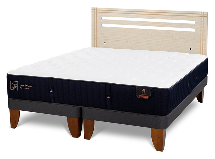 JUEGO DE DORMITORIO CIC CAMA EUROPEA PREMIUM BD 2 PLAZAS + RESPALDO MUNICH ALPINO - 2