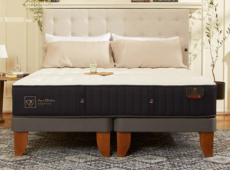 JUEGO DE DORMITORIO CIC CAMA EUROPEA PREMIUM BD 2 PLAZAS + RESPALDO MUNICH ALPINO - 10