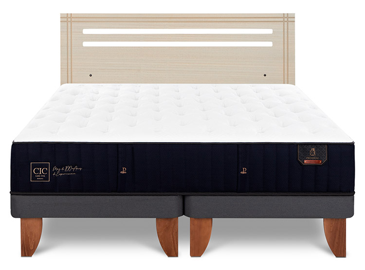 JUEGO DE DORMITORIO CIC CAMA EUROPEA PREMIUM BD 2 PLAZAS + RESPALDO MUNICH ALPINO - 1