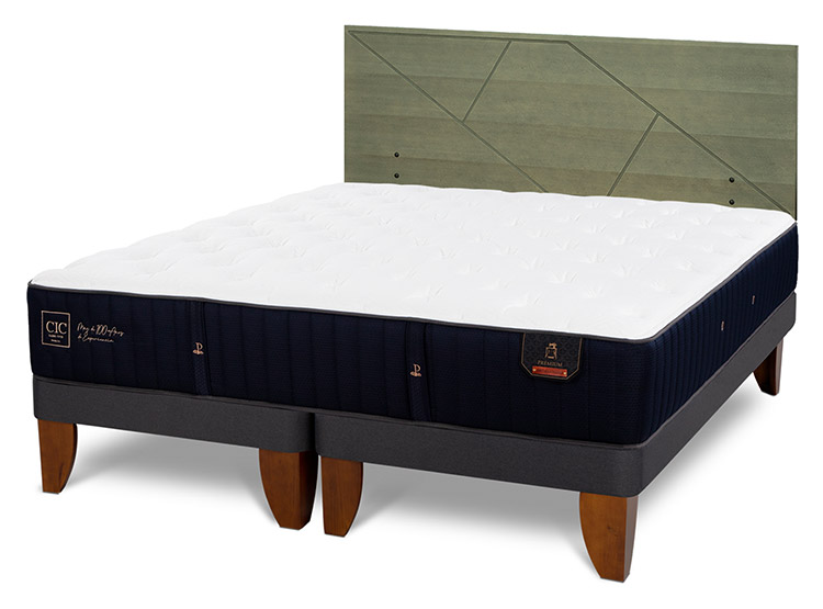 JUEGO DE DORMITORIO CIC CAMA EUROPEA PREMIUM BD 2 PLAZAS + RESPALDO VILLARRICO OLIVO - 2