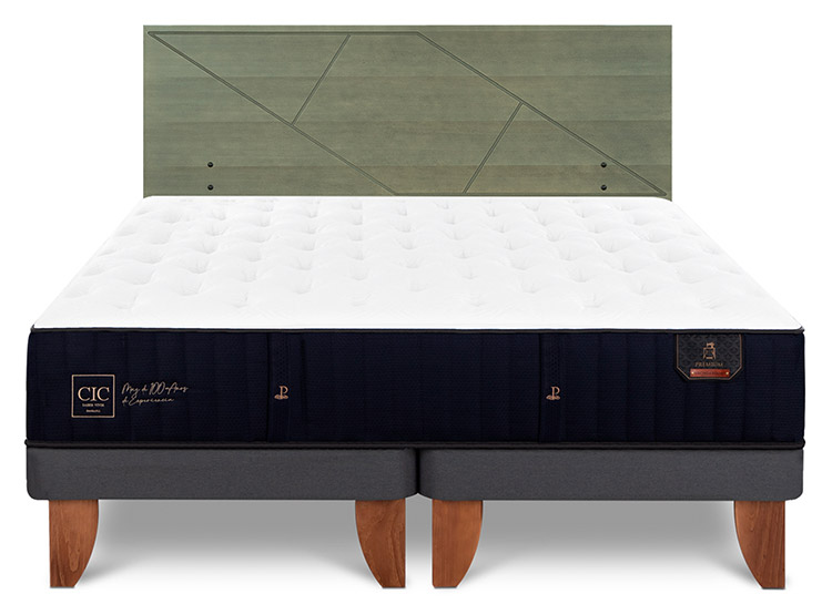 JUEGO DE DORMITORIO CIC CAMA EUROPEA PREMIUM BD 2 PLAZAS + RESPALDO VILLARRICO OLIVO - 1