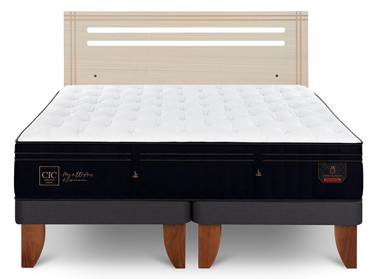 JUEGO DE DORMITORIO CIC CAMA EUROPEA SUPER PREMIUM BD 2 PLAZAS + RESPALDO MUNICH ALPINO - 1