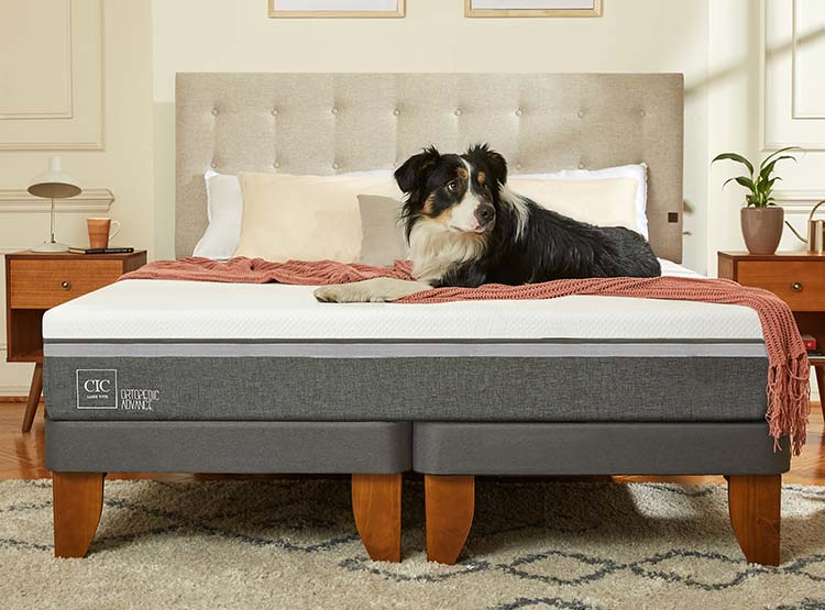 CAMA EUROPEA CIC ORTOPEDIC ADVANCE BD RESPALDO GALES ALPINO 2 PLAZAS - 8