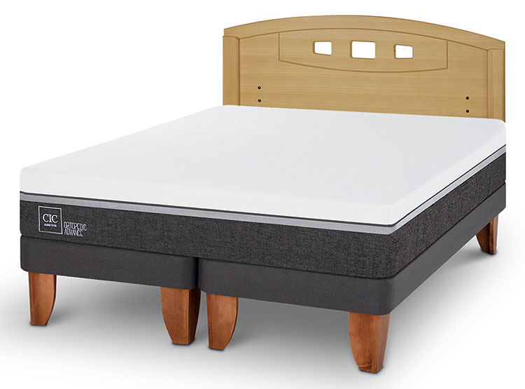 JUEGO DE DORMITORIO CIC CAMA EUROPEA ORTOPEDIC ADVANCE BD 2 PLAZAS + RESPALDO GALES MOSTAZA - 2