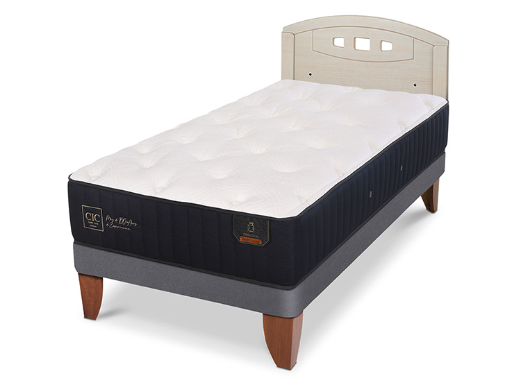 JUEGO DE DORMITORIO CIC CAMA EUROPEA PREMIUM 1.5 PLAZAS + RESPALDO GALES ALPINO - 2