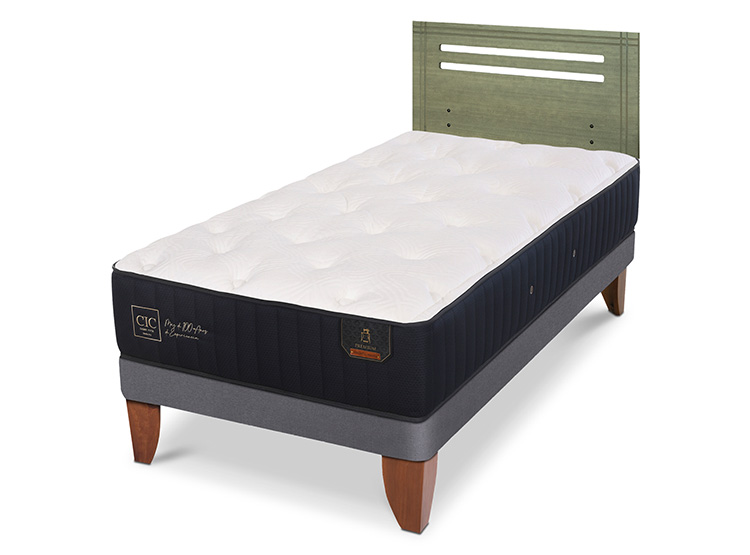 JUEGO DE DORMITORIO CIC CAMA EUROPEA PREMIUM 1.5 PLAZAS + RESPALDO MUNICH OLIVO - 2